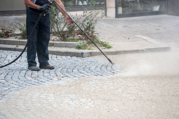 Best Animal Enclosure Cleaning  in Coral Springs, FL